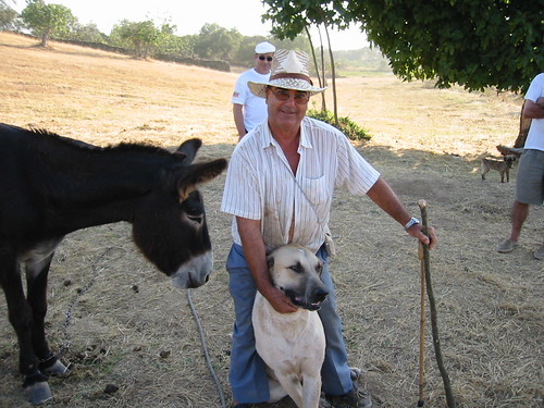 Spanish Country Life