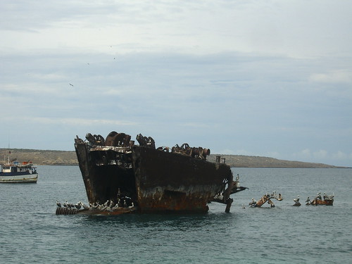 Shipwreck