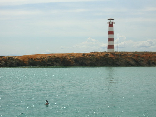 Pelican and Lighthouse