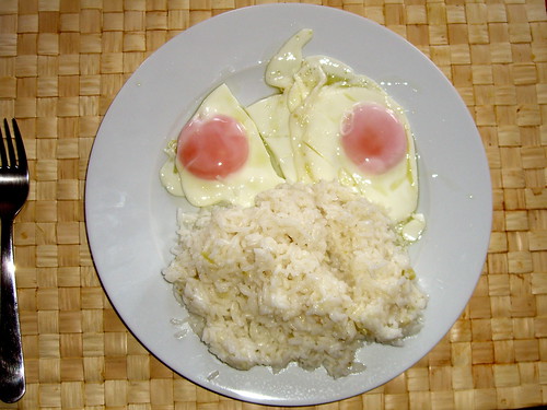 Homer Simpson Rice