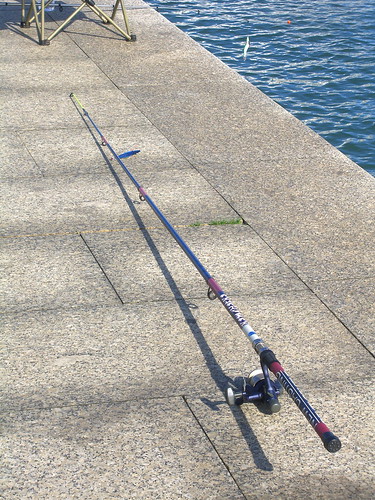 Fishing Rod