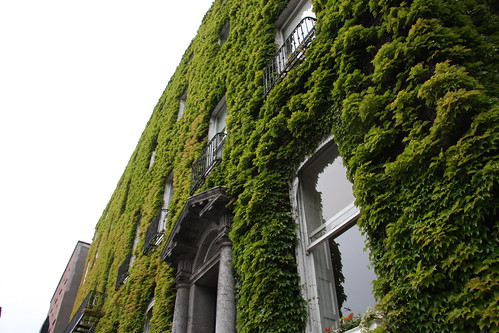 Ivy FaÃ§ade