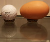 Giant Egg