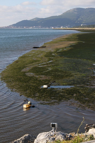 Timelapse Tide Filming