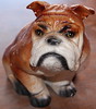 Ceramic Bulldog