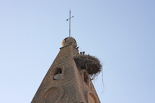 Stork nest on town church