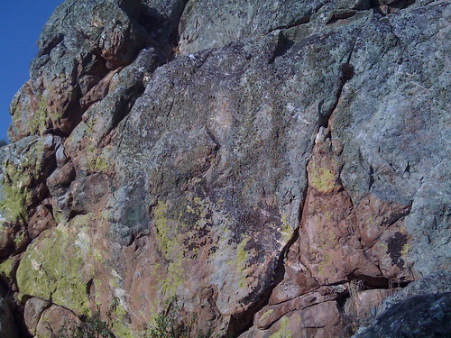 Lichen Rocks