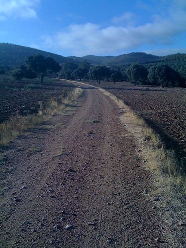 Gold-lined path