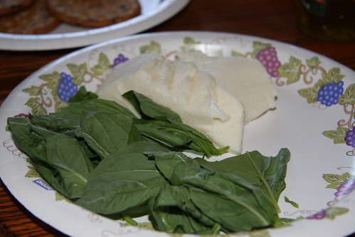 Mozzarella and Basil