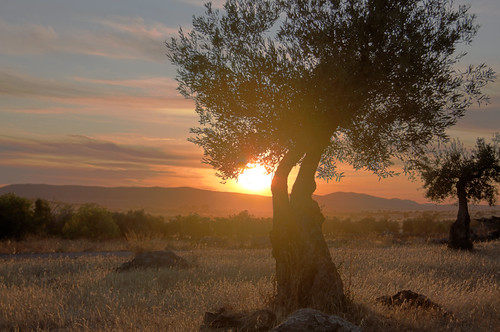 Extremadura Sunset (HDR)