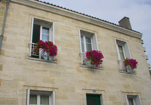 Flowery Windows