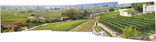 Saint Emilion Vineyard Panorama