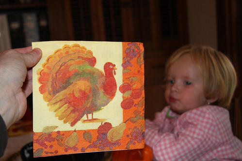 Turkey Napkins