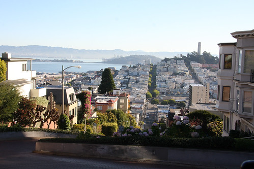 Looking down Lombard Street