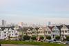 The Painted Ladies