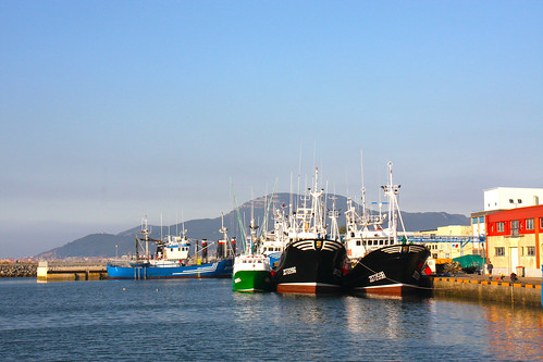 Fishing boats in Colindres Harbor