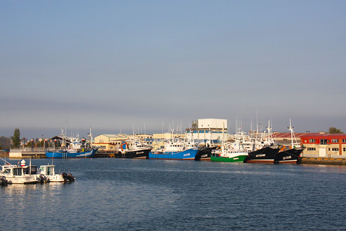 Fishing boats in Colindres Harbor