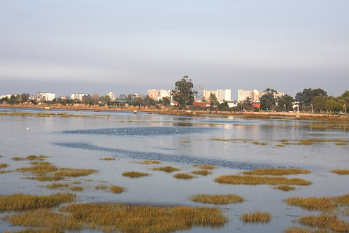 Colindres Tidal Basin