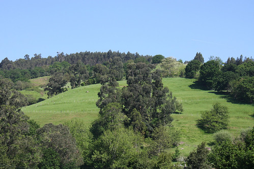 Colindres Countryside