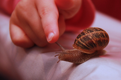 Nora and the Snail