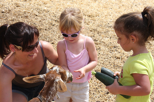 On The Farm - Zahí­nos 2012