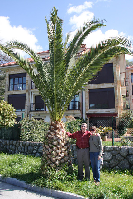 Gigantic Pineapple