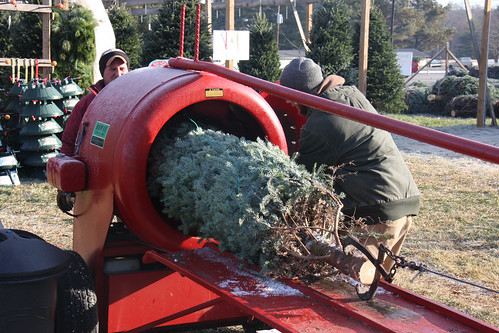 Howey Christmas Tree Baler