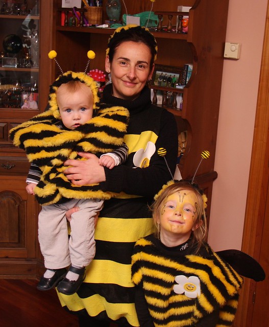 Bumblebee Family