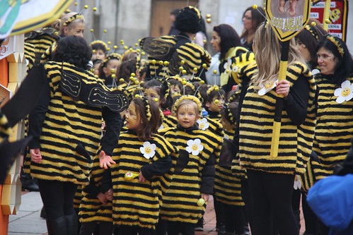 Carnaval 2014 - La Cucaña - 109