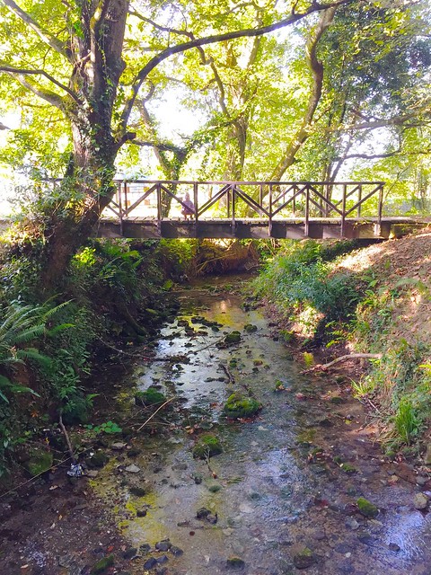 Mountain Stream