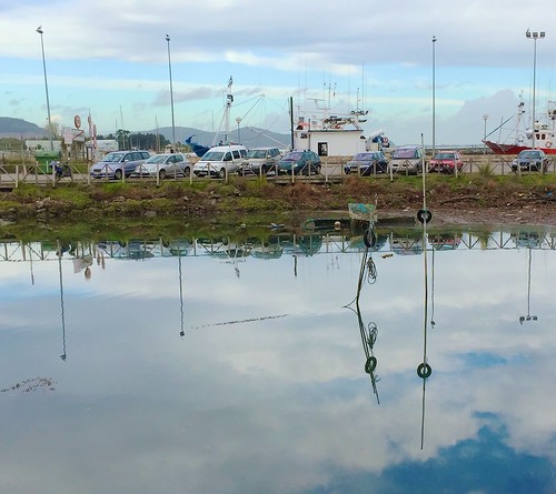 Morning Walk Reflections