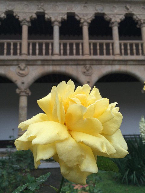 Convento de las Dueñas, Salamanca