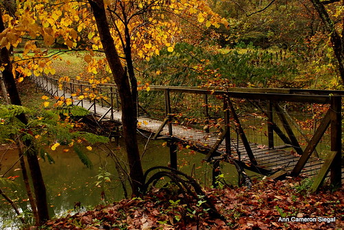 Swinging Bridge in Wendover, KY